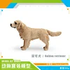 PL127-1538 Perro perdiguero de oro 265g