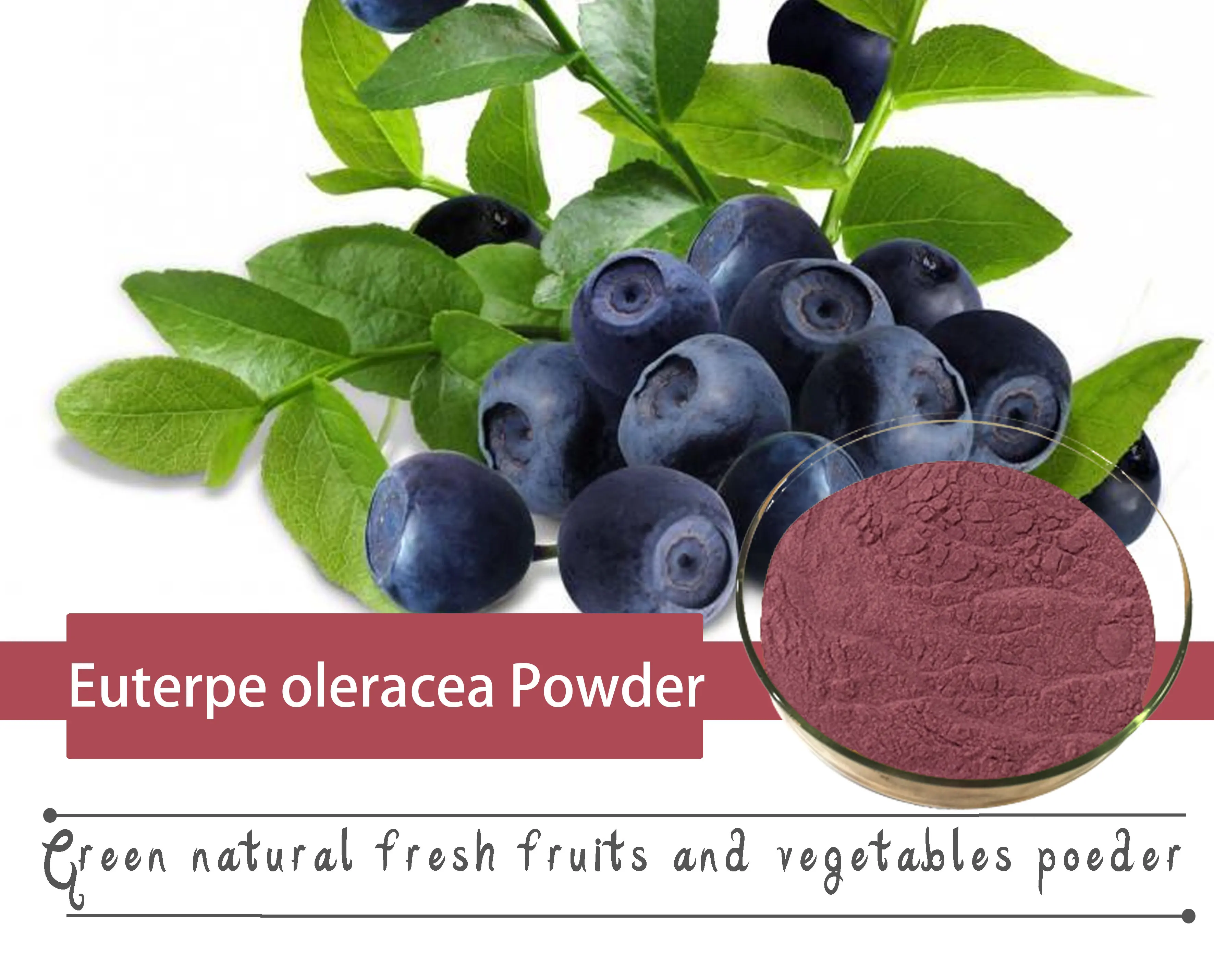 ISO9001 Certified Raw Brazilian Acai Berry Fruit Extract Powder Drum ...