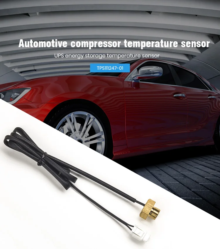 Ip68 Waterproof Pt1000 Temperature Sensor Datasheet 2.252k 3580k 0.1 1