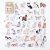 Soft Glutinous Cute Pet-white