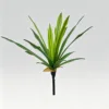 16cm, 18 leaves, all green