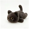Gatto nero
