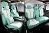 สีขาวและสีเขียว-รุ่นดีลักซ์