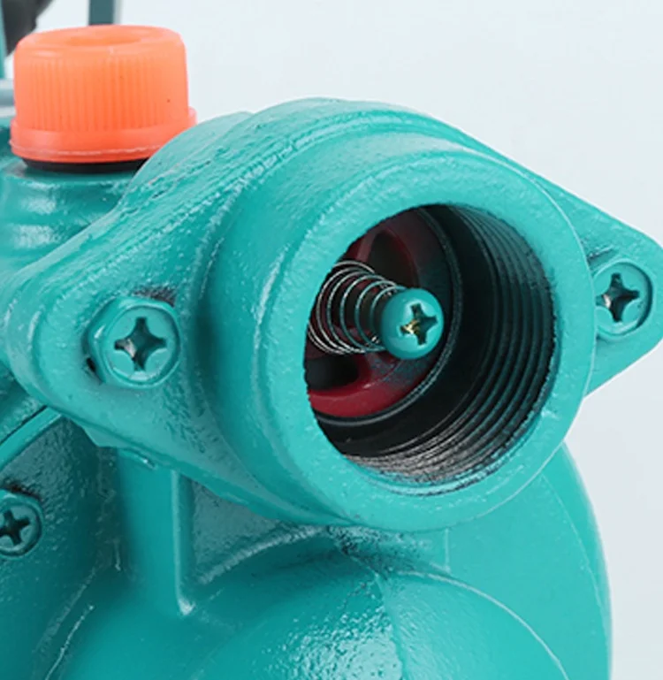 ZGD 220V Cheap Single Self Priming Electric Irrigation Surface Screw Water Pump