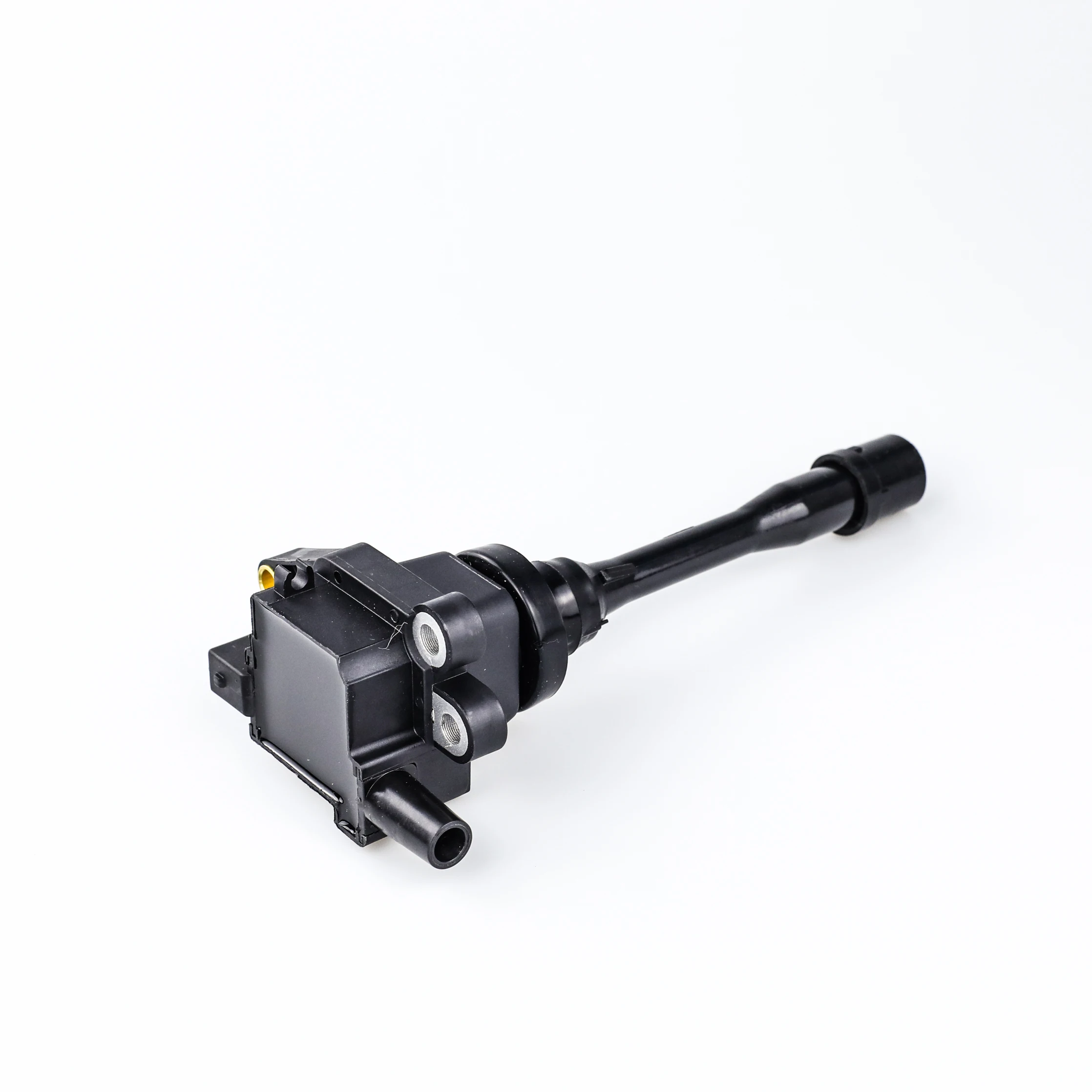 Ignition Coil - F01R00A009