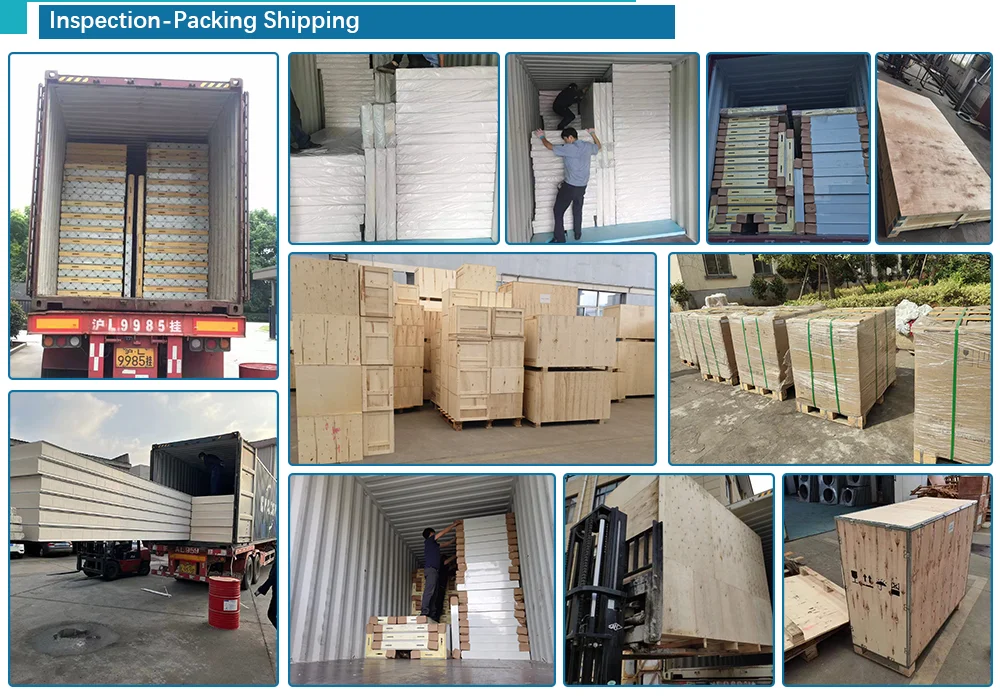 Cold Room Storage Cold Chain Equipment for Vegetable factory