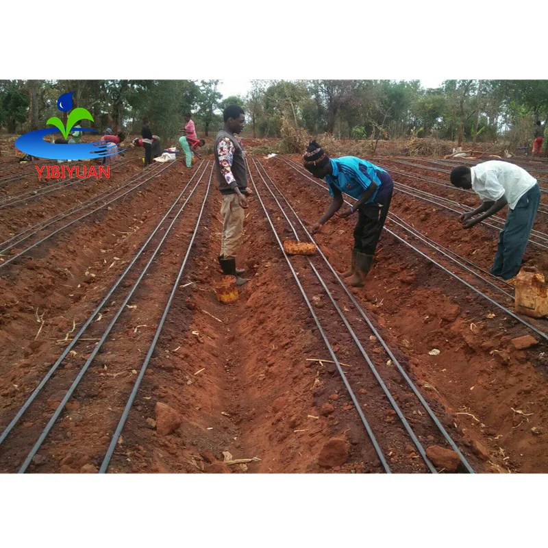 Agriculture Pipe Drip Irrigation System Complete Kit 1 2 Hectare Drip Irrigation Supplies for Onion Farming