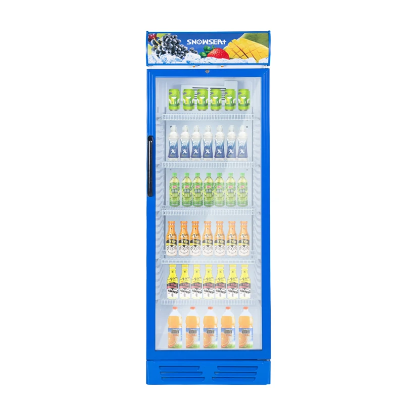 Snowsea LC-380 Upright Single Door Cooler - Commercial Refrigerator