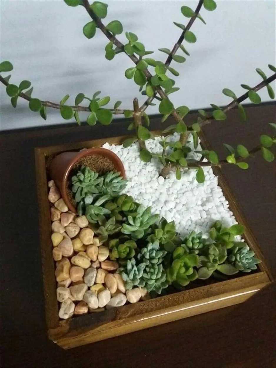 1 (29).jpg