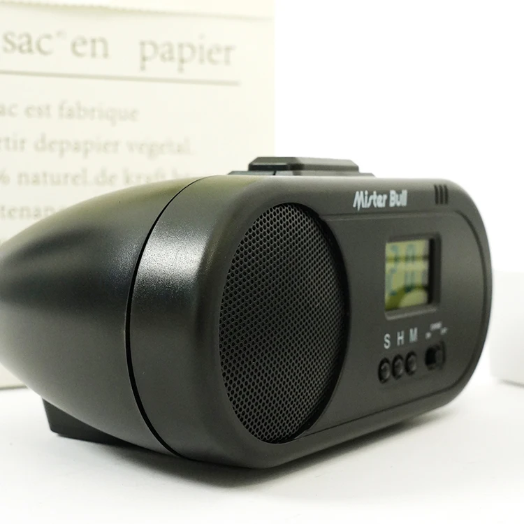 New Radio LCD Display Home and Office Mexico Traditional Spanish Talking Alarm Clock Elderly Blind With Sound Recorded