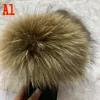 A1