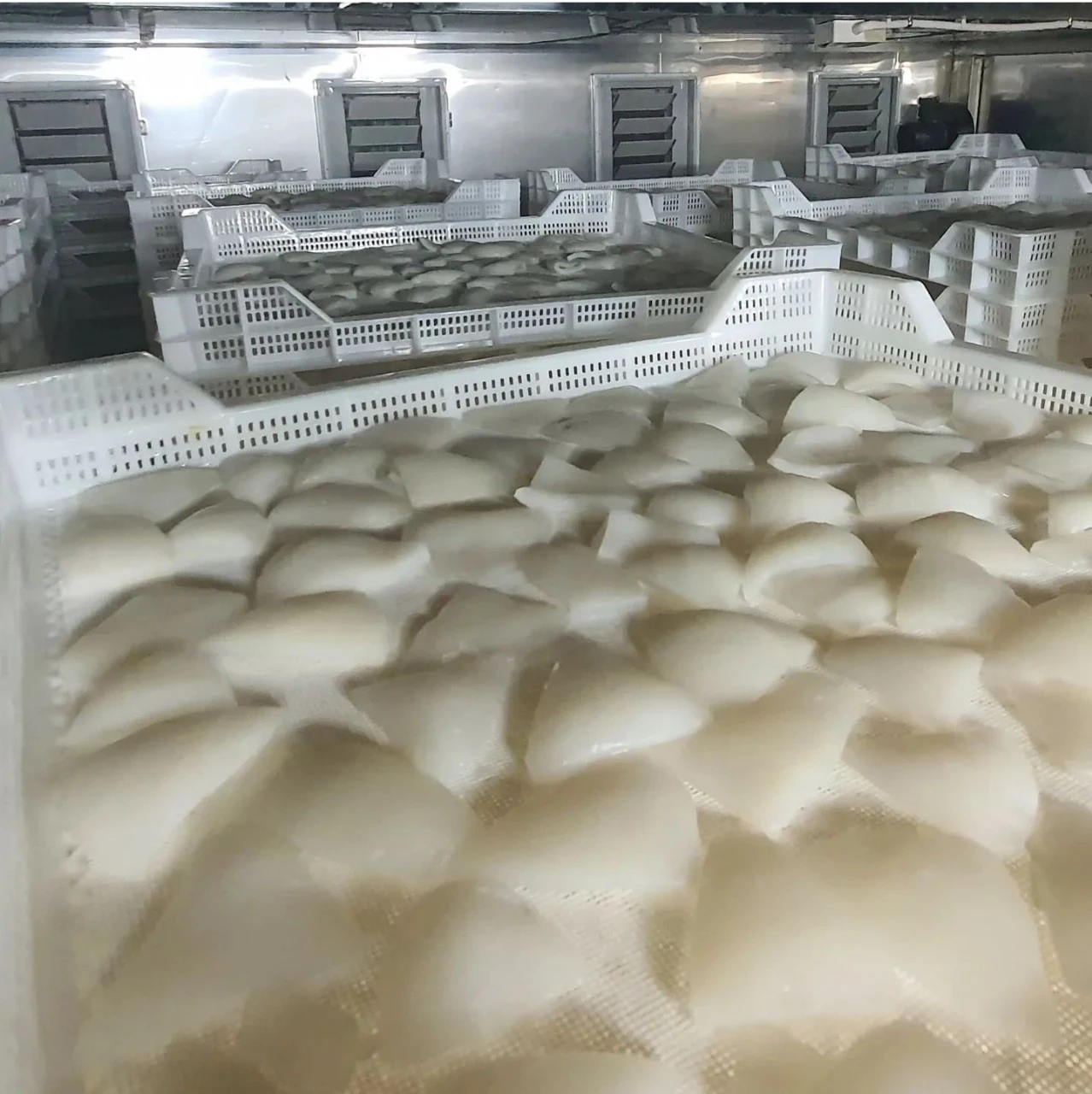 Freeze Dried Coconut Chunks Wholesale Bulk - Natural & No Additives Hcda9a2421b5c4373866ceca67d69478ac