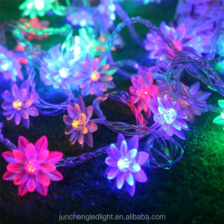 chinese new year fairy lights