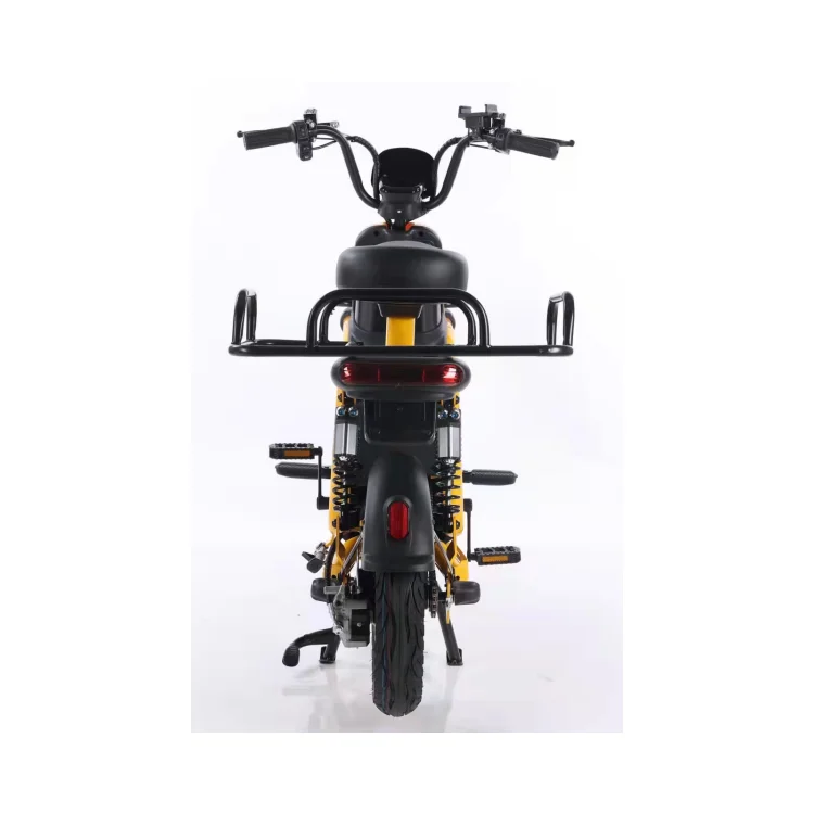 Fedex DHL Fast Delivery 1000W Electric Bicycle Cargo Bike