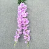 Pourpre