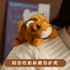 Ajiwang lies prone tiger stands on shoulders yellow