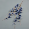 academy blue