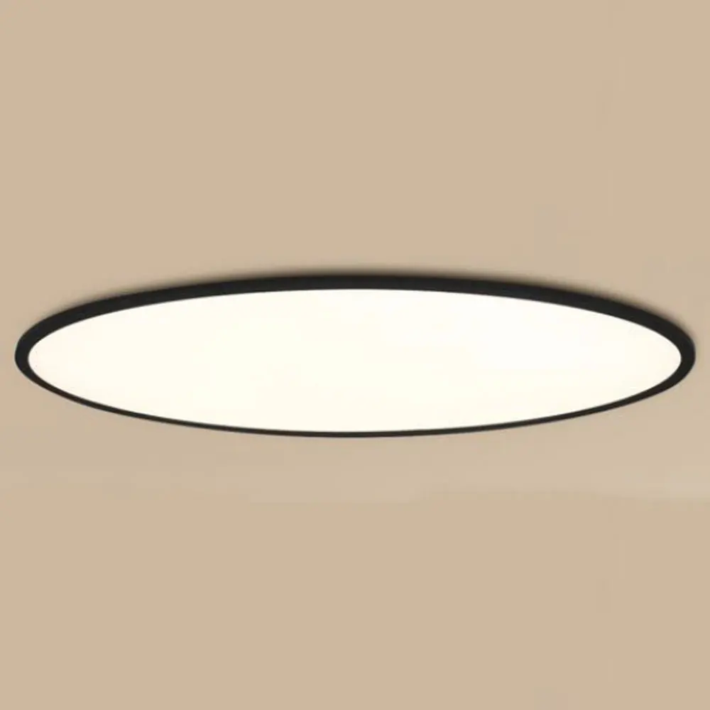 Round LED panel light 36W 48W Ceiling type Ceiling-mounted Flat LED Panel Light For living room and bedroom
