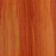 8885-8.jpg