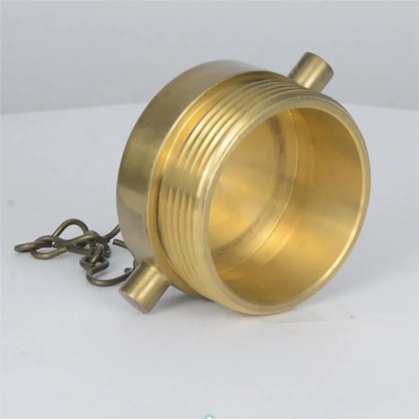 Brass Plug& Chain supplier