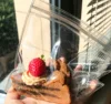 Q Tarta de queso con chocolate y fresa