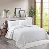 Palm leaf white