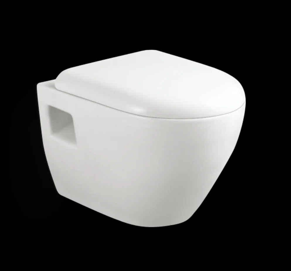 best quality roca wall hung toilet, custom squat toilet