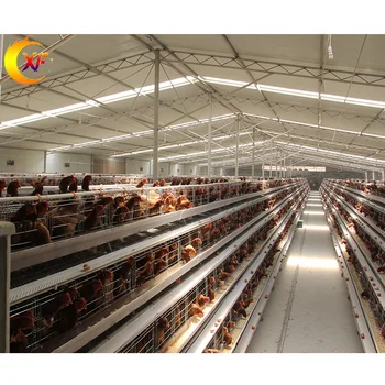 Poultry Farm House Poultry Chicken Cages Battery Chicken Layer Cage with Egg Collection System Chicken Coop for Laying Hens