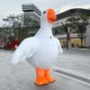 Swan