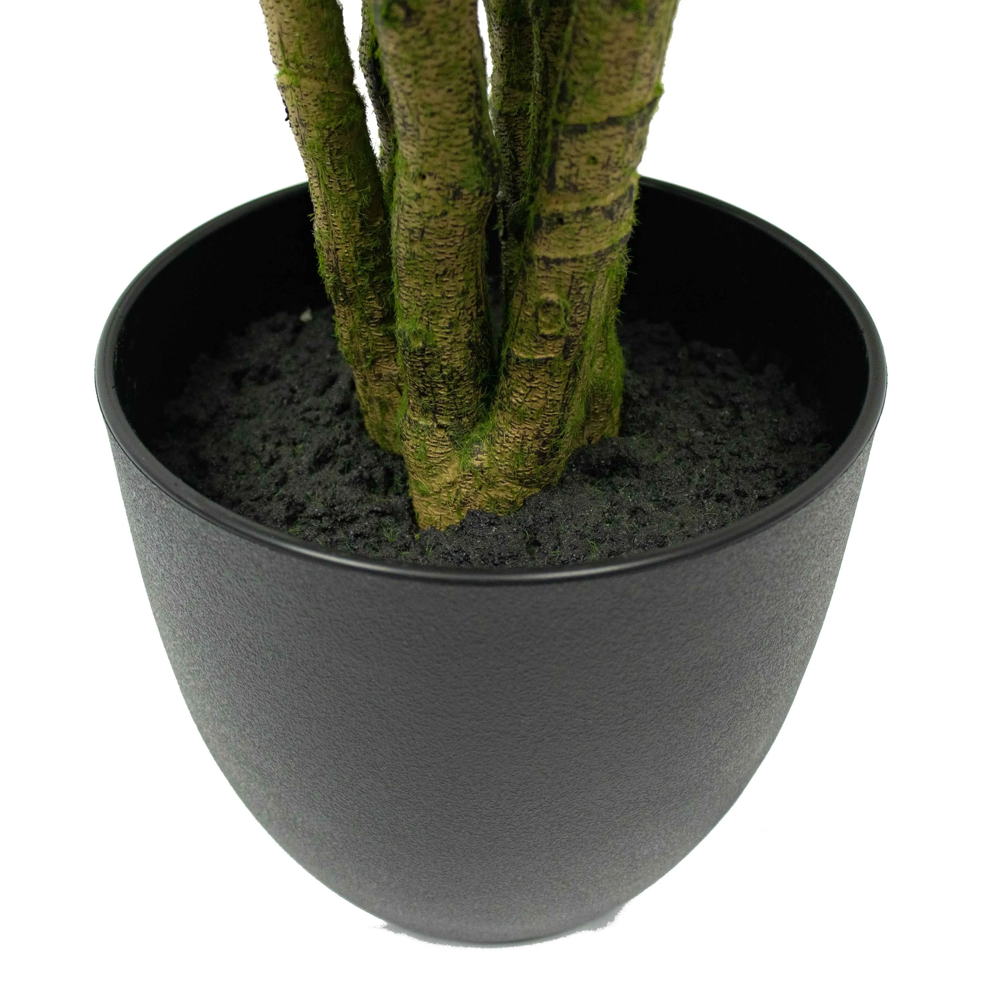Geosism & Nature Bonsai-Transportbänder Aus Kunststoff – 3 Stück, Durchmesser 6, 7, 9 Cm