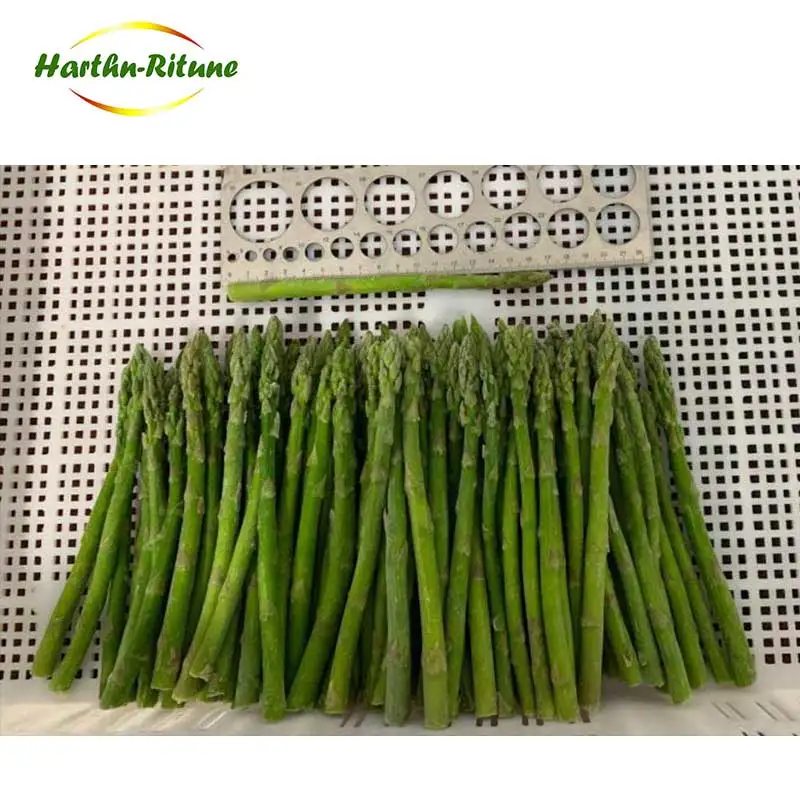 High Quality IQF Frozen Fresh Asparagus Frozen Vegetables for Wholesale 10kg Per Carton