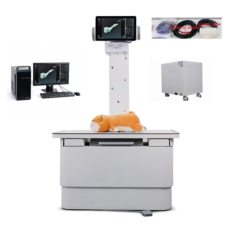 Digital Vet Dr Xray Table Fixed Veterinary Dog X Ray Machine Vet X Ray