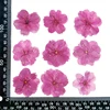 Rose foncé 1 sac = 12 PCs