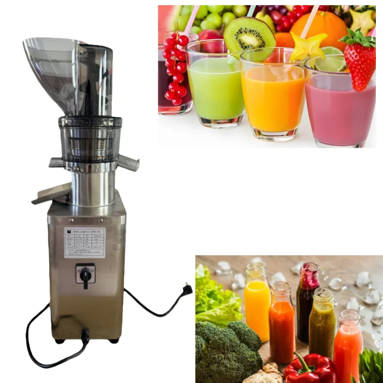 fruta procesador para hacer batidos