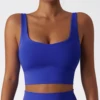 Klein blu bra1