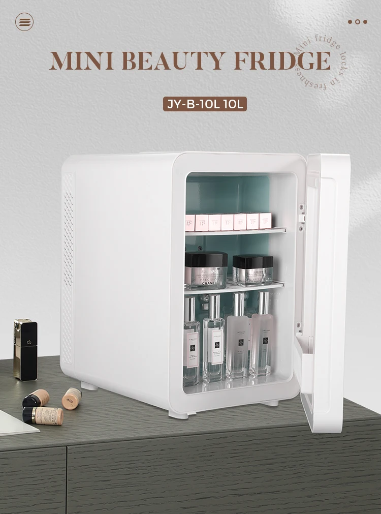 10 Liter Mini Fridge Custom Compact Portable Warm And Cold Low Noise 110v 12v Ac Dc Buy Home