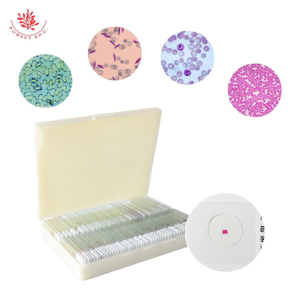 microscope slides-2.jpg