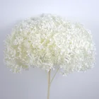 Flowers Preserved Real White Hydrangea Flowers For Holiday Party Favors Wedding Decoration