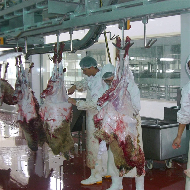Automatic Goat Slaughtering Line With Lamb Butcher Abattoir Meat Process Machinery