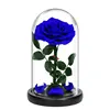#2 Blue