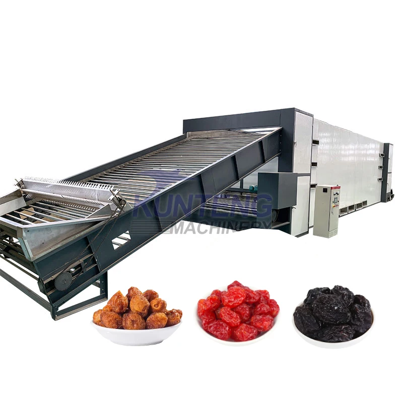 Food Processing Drying Machine Dry Fruit Processing Plant Marula Fruit Processing Equipment