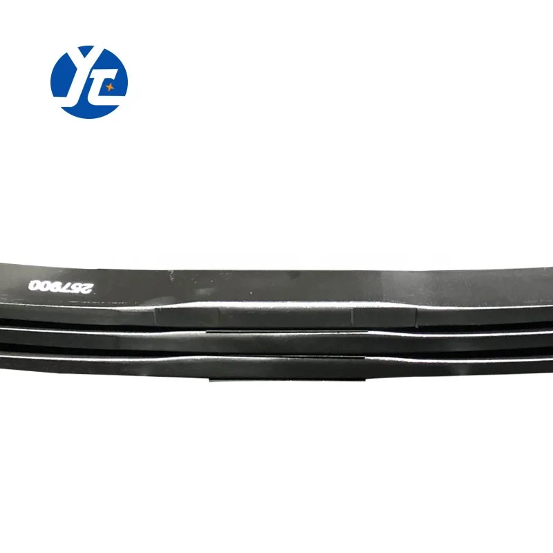 Rear Suspension Spring Assembly