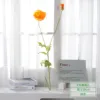 4-pronged poppy - orange