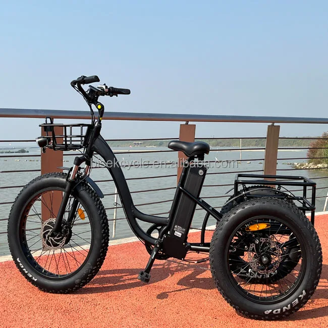 2022年モデル 高出力電動三輪自転車 500Wリチウムバッテリー