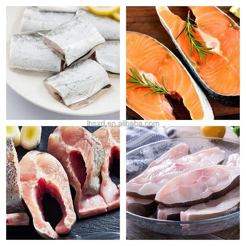 冷凍食品加工機械  マグロ その他切断機、 冷凍魚切断機/マグロ魚セグメントデヘッドヘッドおよびテール