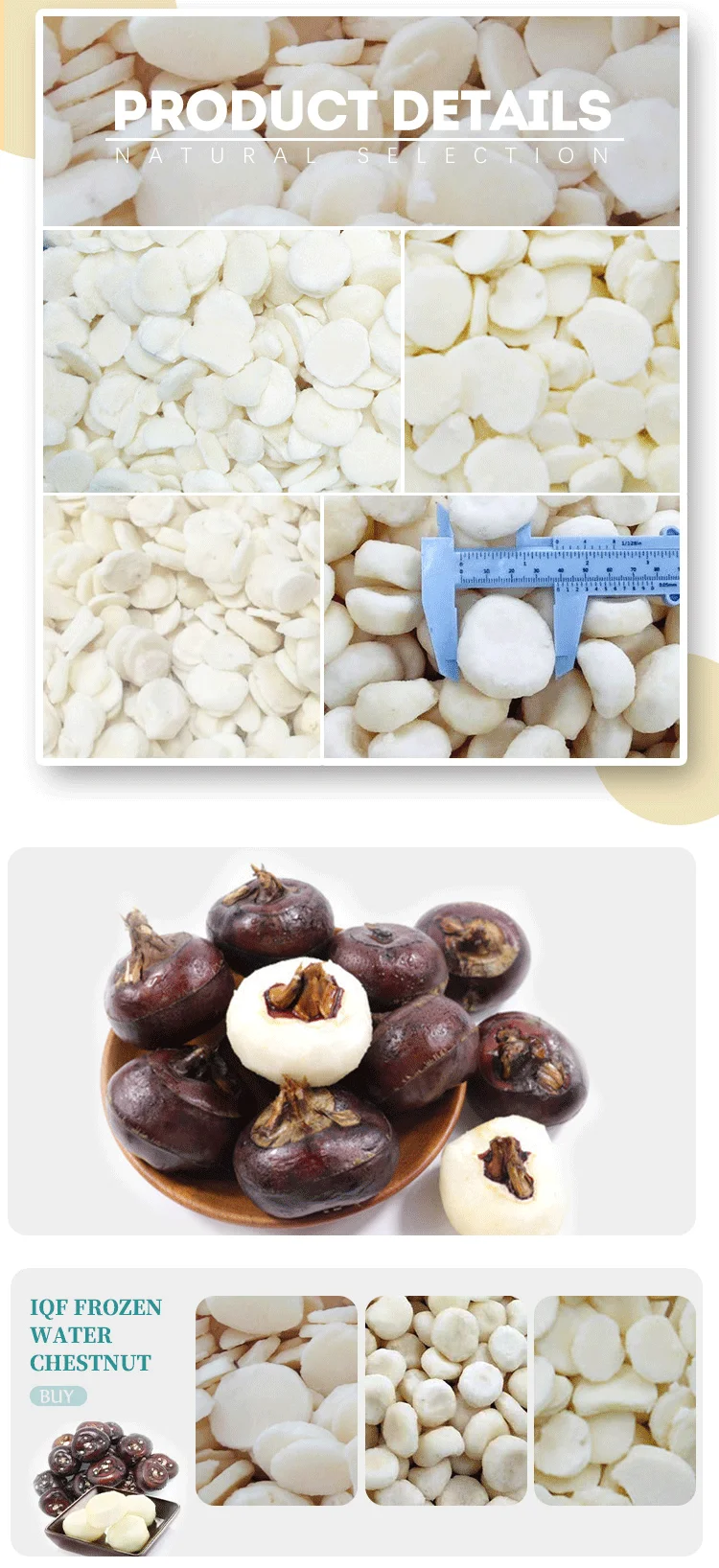 product wholesale iqf frozen water chestnut slices iqf water chestnuts for supermarkets638-2