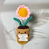 pink daisies plant(no base)