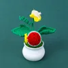 snack watermelon potted plant (military green leaves)