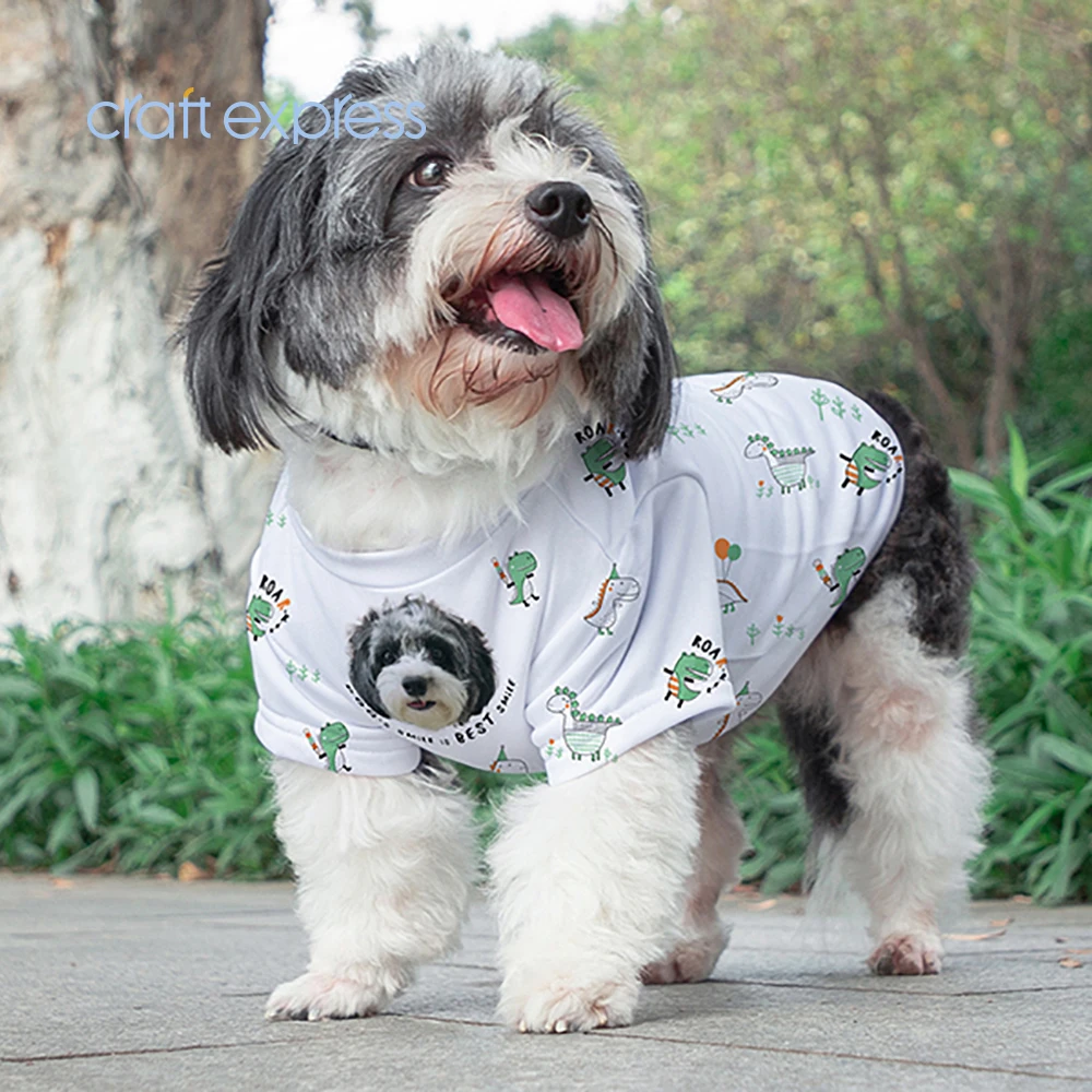 我们准备了三种风格的狗狗衣服.