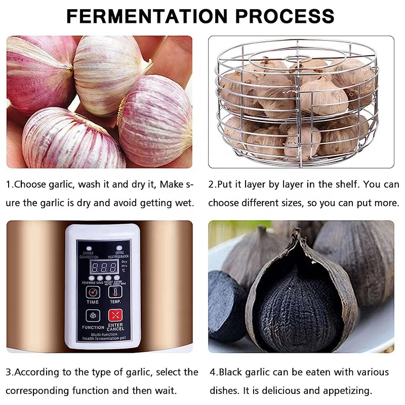 Fermenteur Ail Noir 6L Automatique - Machine Fermentation Intelligente - Pour Yaourt, Natto, Riz
